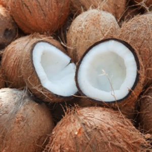 Coconut