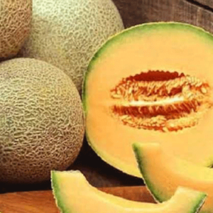 Melon